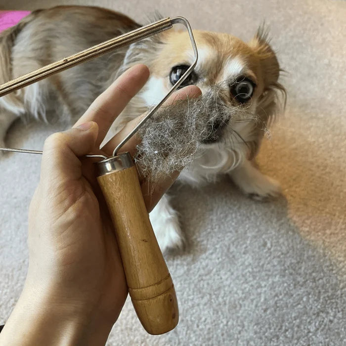 Der Tierhaar & Fusselentferner